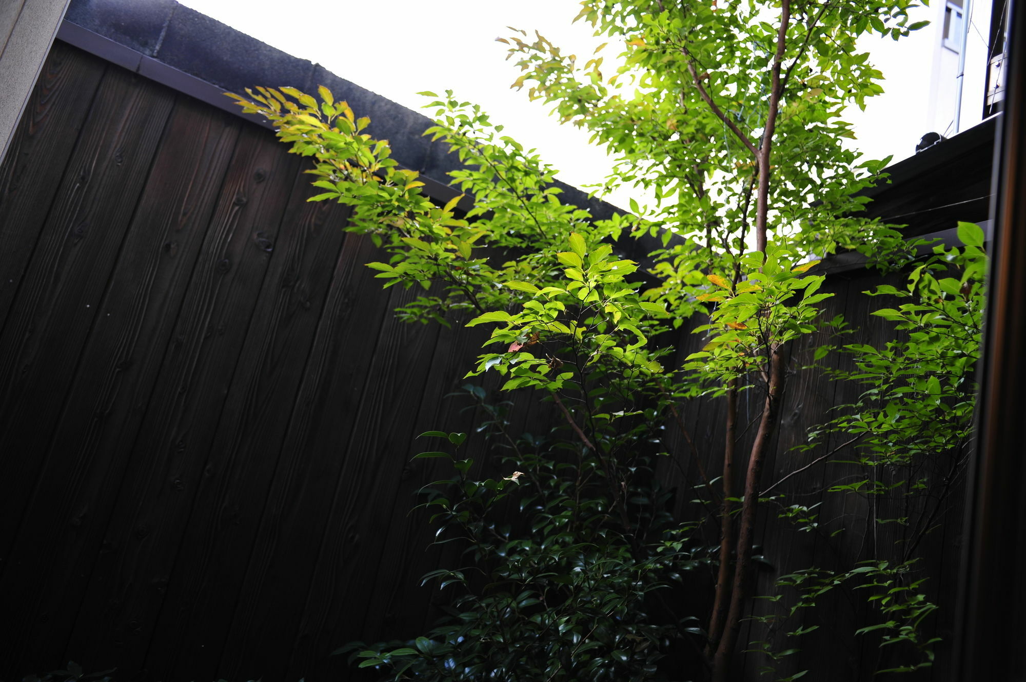 Villa Le Machiya Daikokucho Kyōto Esterno foto